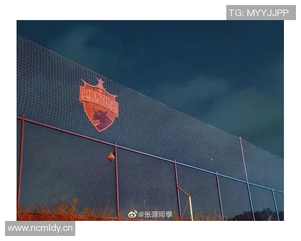 深圳足球队转型之路揭秘:从困境到崛起的奋斗历程与未来展望 深圳足球队转型之路揭秘:从困境到崛起的奋斗历程与未来展望